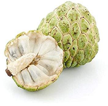 Natural fresh custard apple, Packaging Type : Foam Net, Plastic Bag