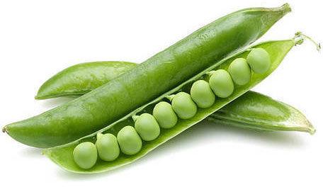 Organic Fresh Green Peas, Packaging Type : Jute Bags