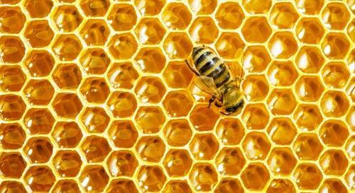 Bee Honey, for Cosmetic, Pharma, Feature : Hygienically Packed