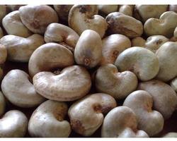 Dried Raw Cashew Nuts, Grade : AAA