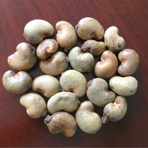 Curve Organic Natural Raw Cashew Nuts, for Snacks, Packaging Size : 5kg