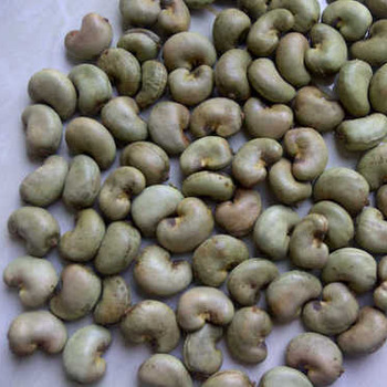Curve Dried Organic Raw Cashew Nuts, for Food, Snacks, Packaging Size : 5kg