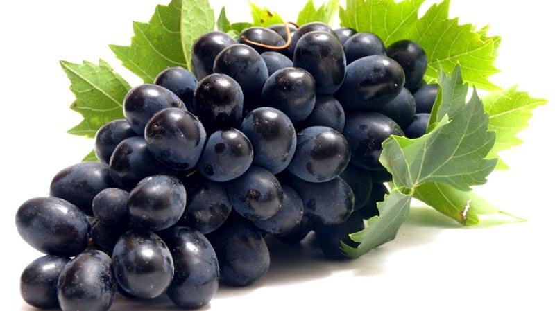 Fresh Sweet Black Grapes