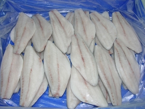 Frozen Barramundi Fish Fillet, for Human Consumption, Color : White