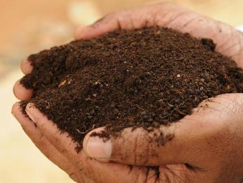 Vermicompost Organic Fertilizer, for Agriculture, Purity : 99.9%