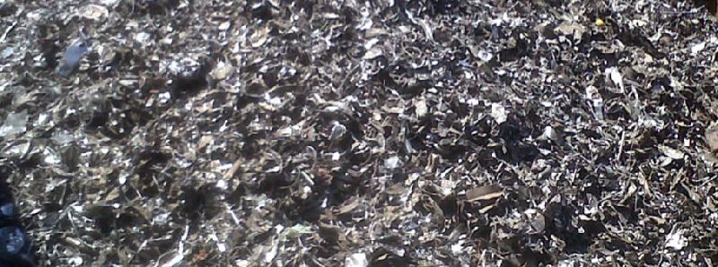 shredded stainless steel scrap