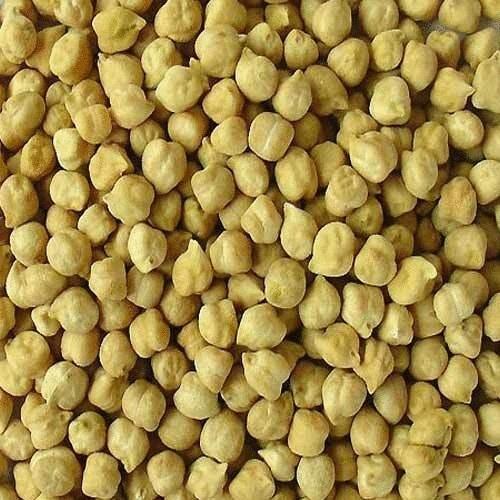 Dry Chickpeas