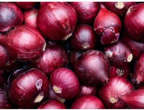 Fresh Pure Onion