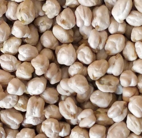 White Chickpeas