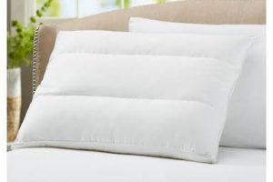 Plain Cotton bed pillow, Technics : Machine Made