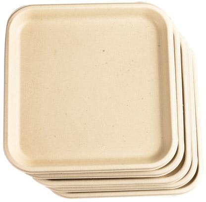 9 Inch Square Sugarcane Bagasse Dinner Plate