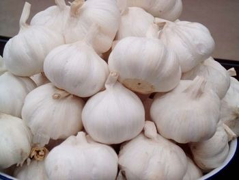 White Fresh Garlic