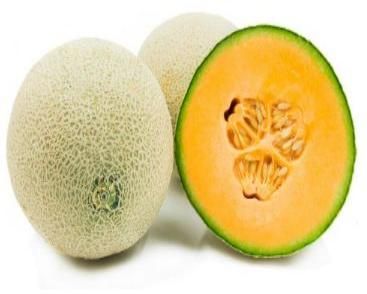 Fresh Cantaloupe Melon