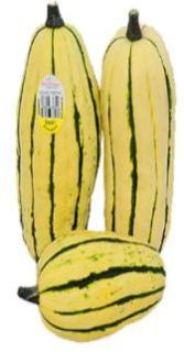 Fresh Delicata Squash