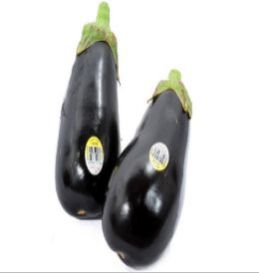 Fresh Eggplant