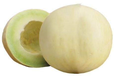 Fresh Honeydew Melon