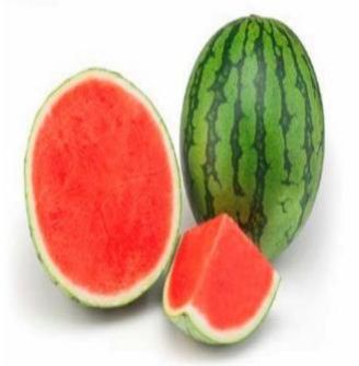Fresh Mini Watermelon