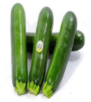 Fresh Zucchini Squash