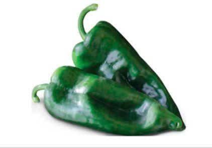 Poblano Pepper