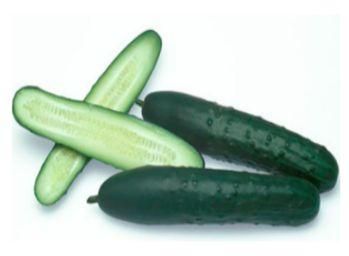 Slicer Cucumber