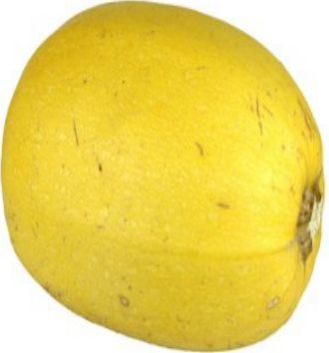 Fresh Spaghetti Squash