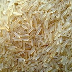 Soft Organic 1509 Golden Basmati Rice, Style : Dried