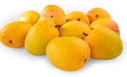 Organic alphonso mango, for Direct Consumption, Food Processing, Juice Making, Taste : Delicious Sweet