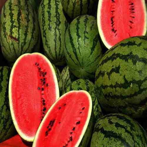 Indian Watermelon