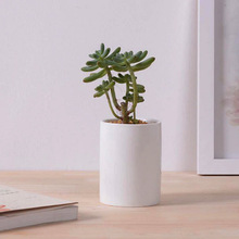 Buyer Brand planter pot ceramic, Feature : Eco-Friendly