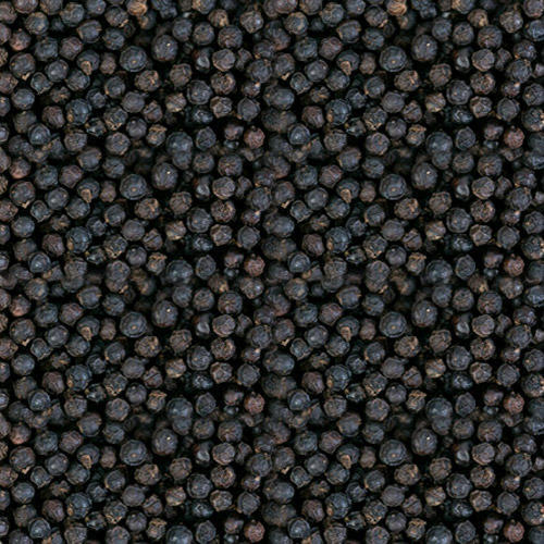Fresh Black Pepper Seeds