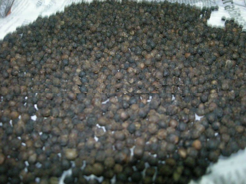 Spicy black pepper, Style : Dried