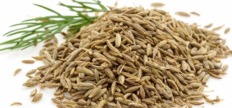 Dry Cumin Seeds, Feature : Healthy, Improves Acidity Problem