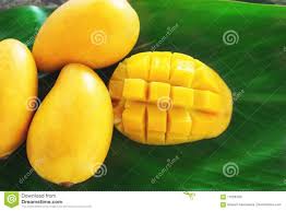 Mango Ripe, for Juice Making, Color : Yellow