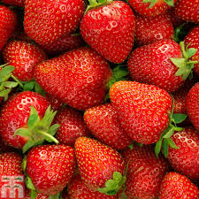 Organic fresh strawberry, Freezing Process : Cold Storage