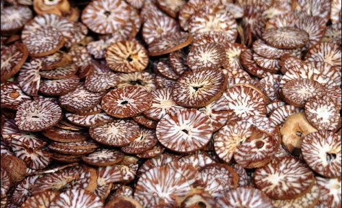 Sliced Betel Nuts