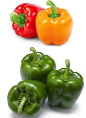 Fresh Capsicum