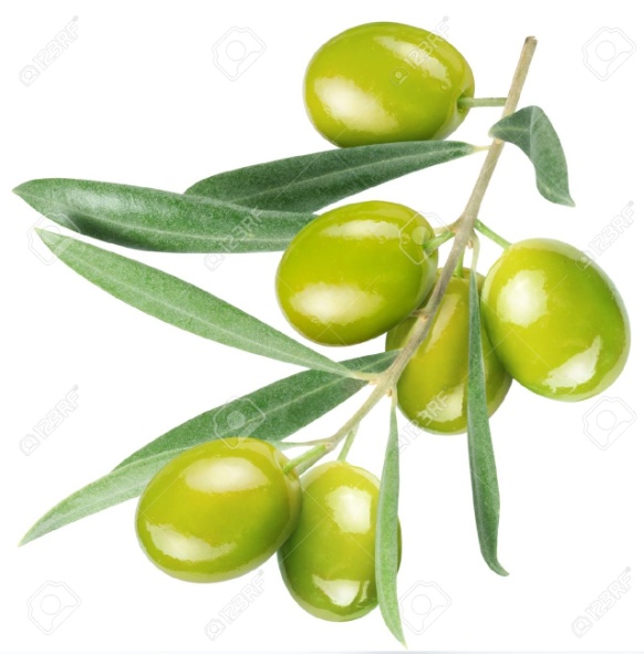 Fresh Olive