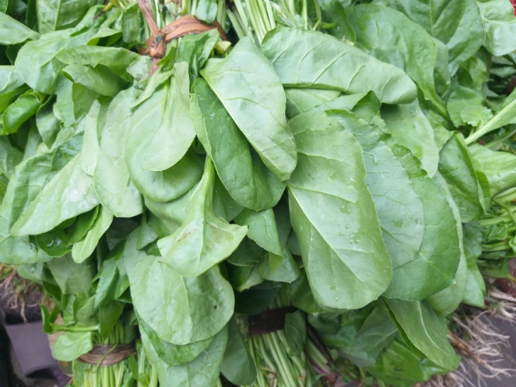 Fresh Spinach Leaves