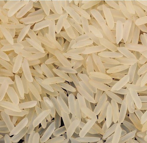 Organic PR 11 Basmati Rice, for Human Consumption, Variety : Medium Grain