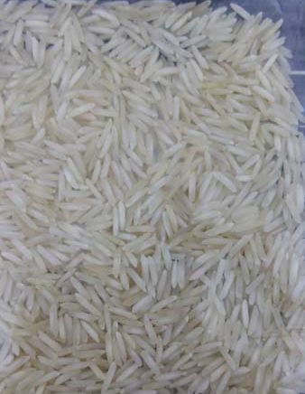 Sugandha Steam Non Basmati Rice, for Human Consumption, Packaging Type : 10kg, 20kg