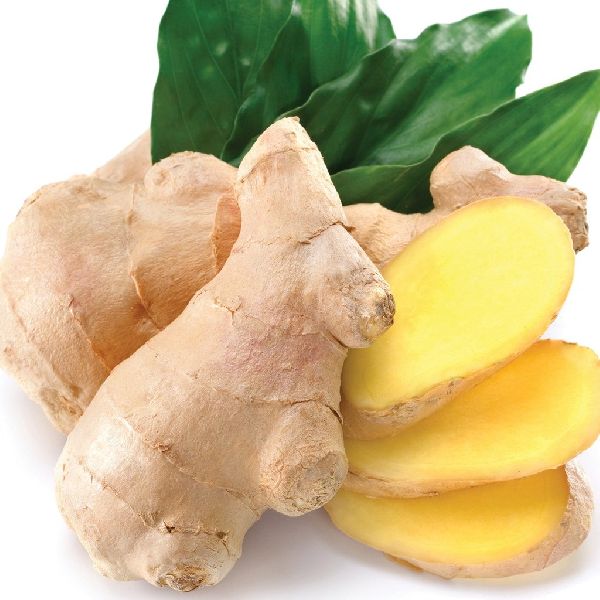 Organic Ginger, for Cooking, Cosmetic Products, Medicine, Style : Dried