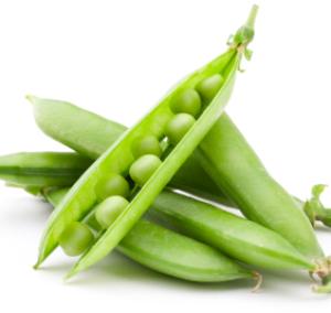 Organic Green Peas, Shelf Life : 25 Days