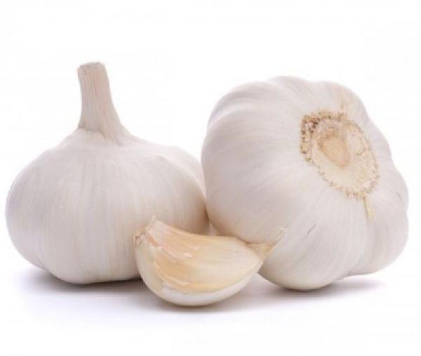 Organic White Garlic, Feature : Moisture Proof, Natural