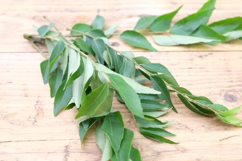 Fresh Curry Leaves With Stem, Packaging Type : Loose