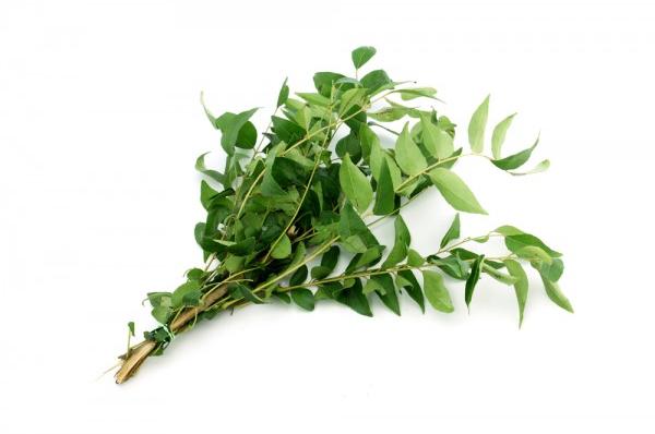 Organic Curry Leaves