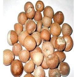 Dried Areca Nuts