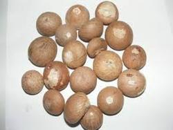 Indian Areca Nuts