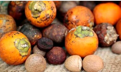 Natural Areca Nuts