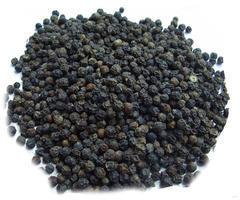 Peppercorn Seeds