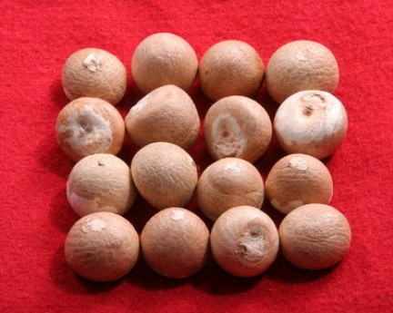 Raw Areca Nuts